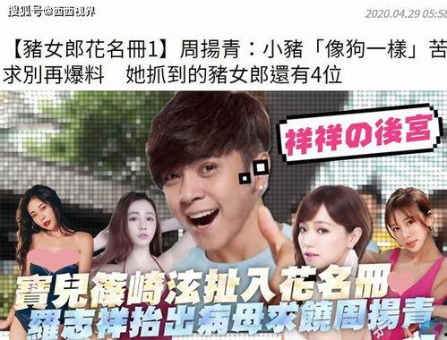 娱乐圈吃瓜态度